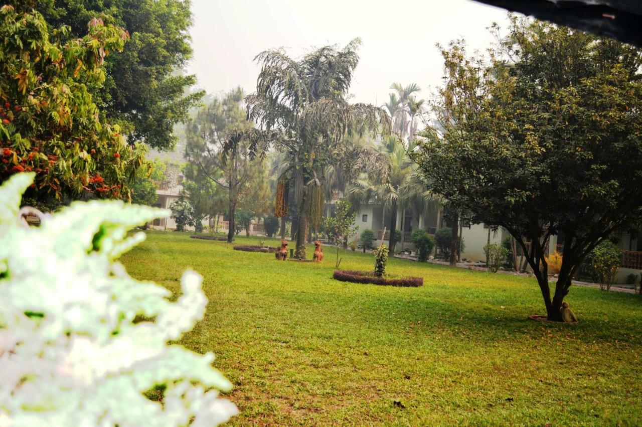 Chitwan Paradise Hotel Sauraha Eksteriør billede