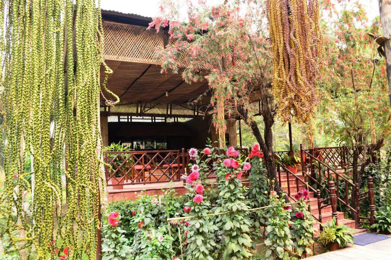 Chitwan Paradise Hotel Sauraha Eksteriør billede