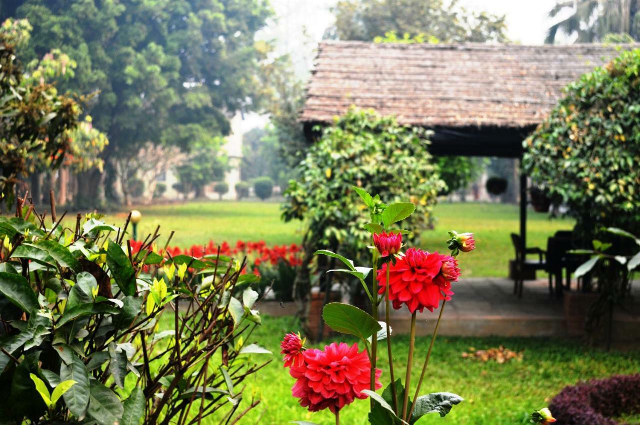 Chitwan Paradise Hotel Sauraha Eksteriør billede