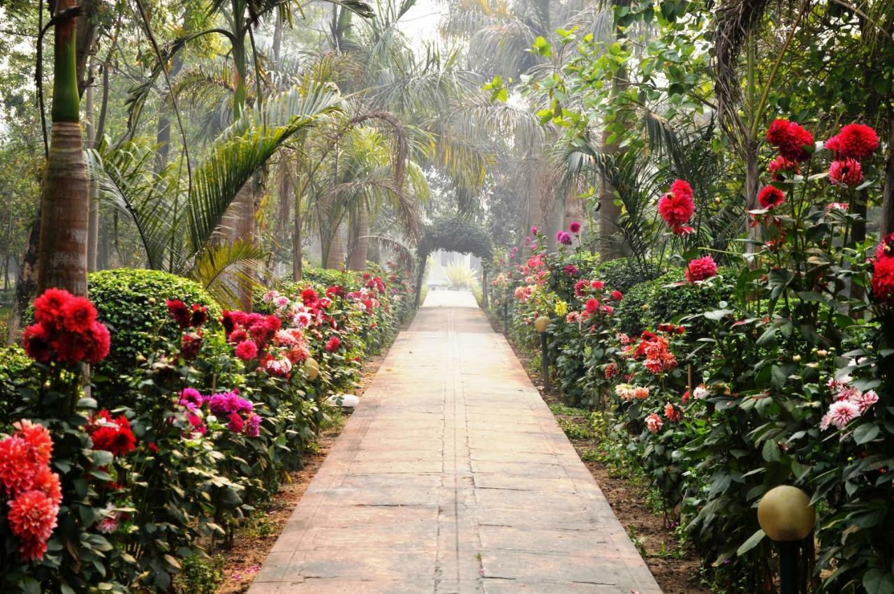 Chitwan Paradise Hotel Sauraha Eksteriør billede