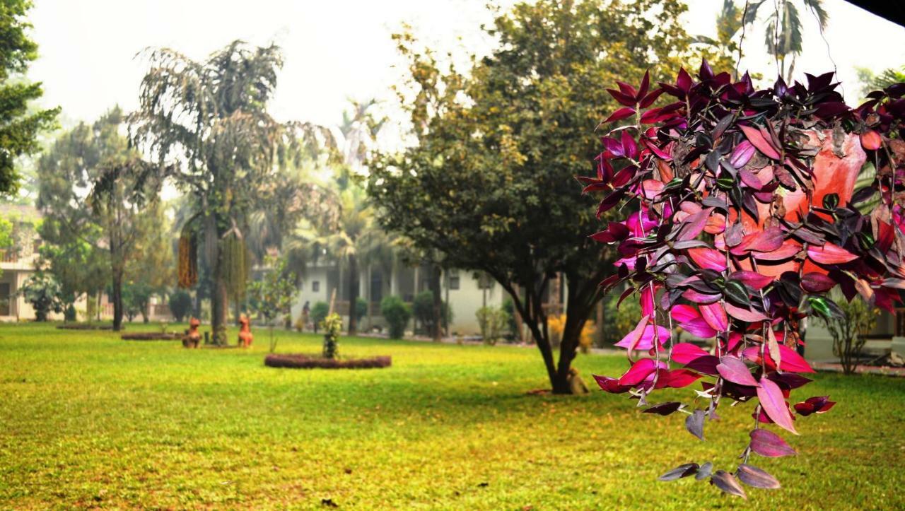 Chitwan Paradise Hotel Sauraha Eksteriør billede