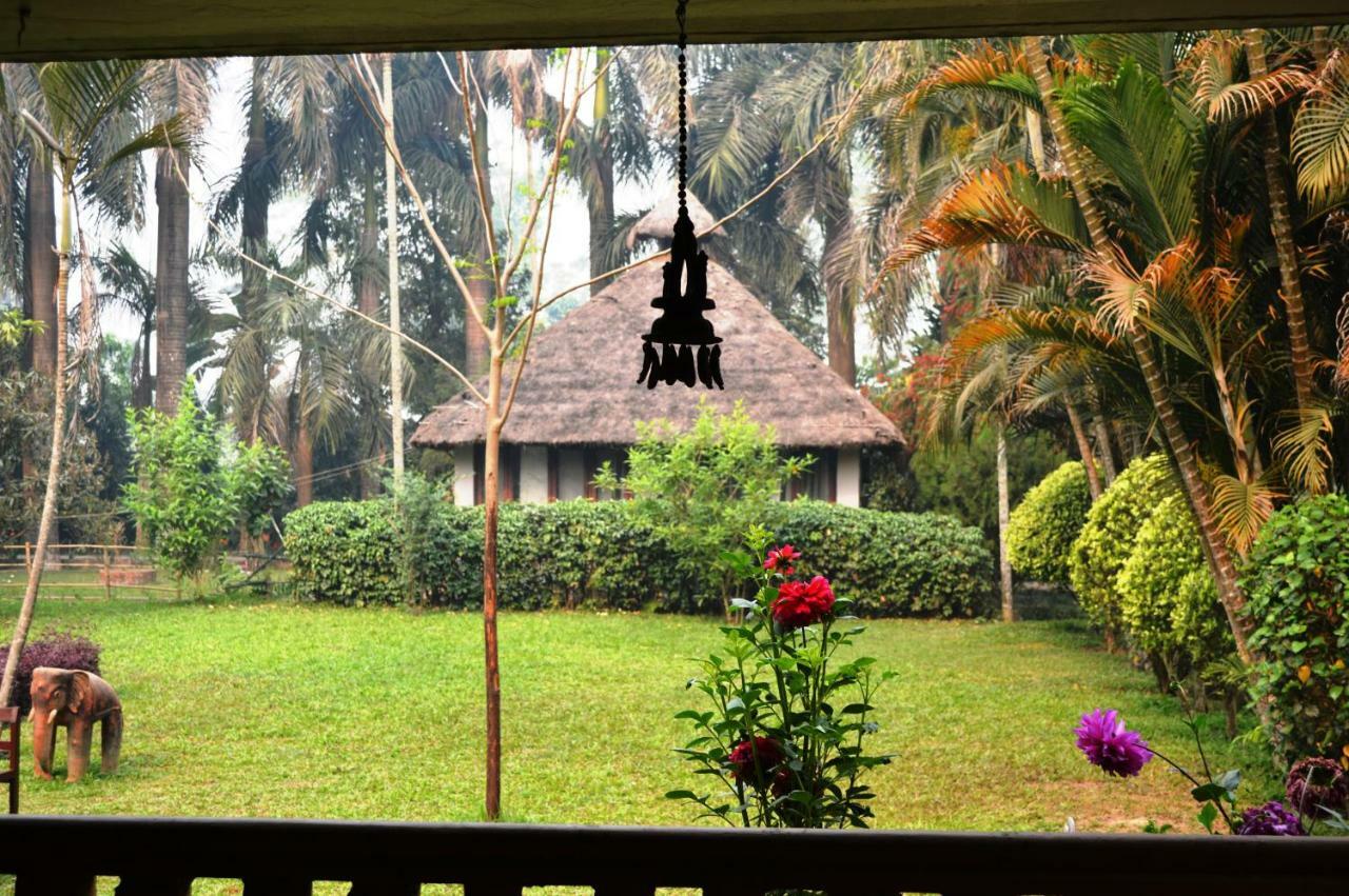 Chitwan Paradise Hotel Sauraha Eksteriør billede