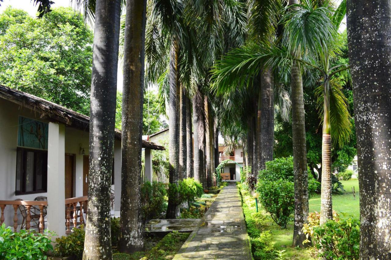 Chitwan Paradise Hotel Sauraha Eksteriør billede